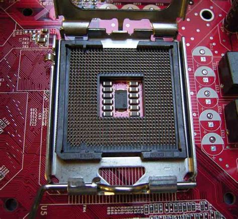 Tipos De Socket En Placa Base Todos Los Usados Por Intel Y Amd