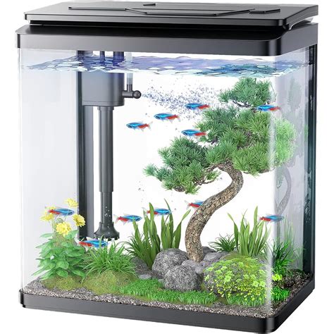 Mo Finance Pondon Gallon Fish Tank Glass Aquarium Tank With