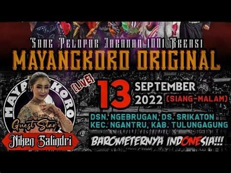 Live Malam Ini Jaranan Mayangkoro Original Srikaton Ngantru Spesial