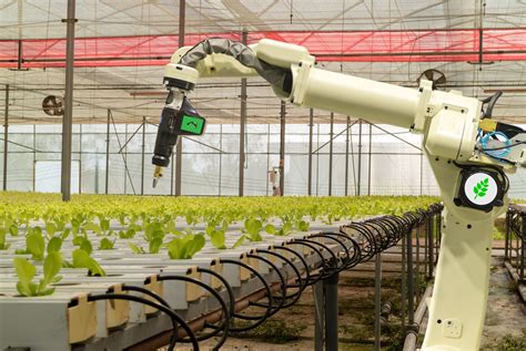 The Role Of Robotics In St Century Agriculture Futurebusiness