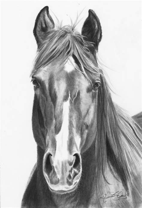 Pin By Наталия Максимишина On Лошади разные Horse Drawings Equine