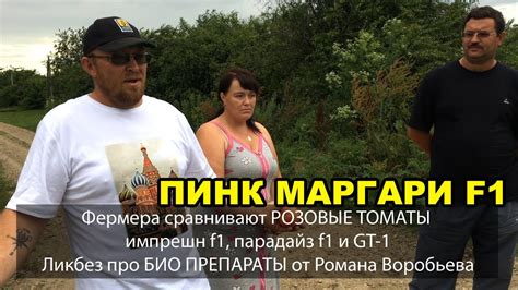 Фермера сравнивают РОЗОВЫЕ ТОМАТЫ, ПИНК МАРГАРИ F1, парадайз f1 и др ...