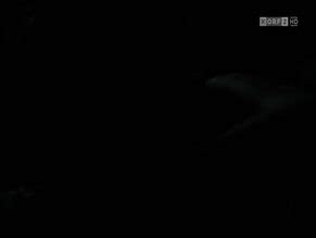 Ma Folie Nude Scenes Aznude