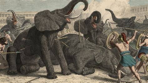 The Exotic Animal Traffickers of Ancient Rome - The Atlantic