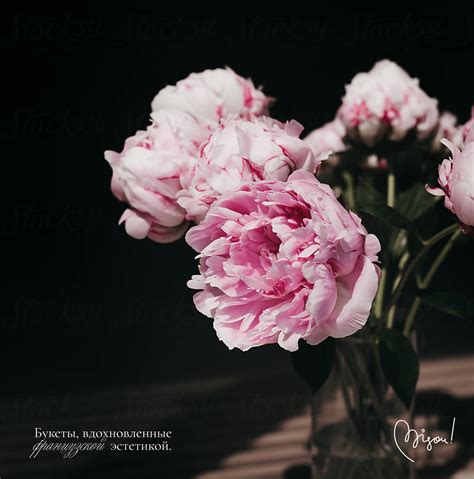 FLOWER BRAND | IDENTITY | ЦВЕТОЧНЫЙ БУТИК on Behance