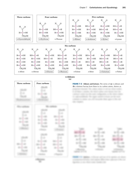 SOLUTION: Carbohydrates biology complete notes - Studypool