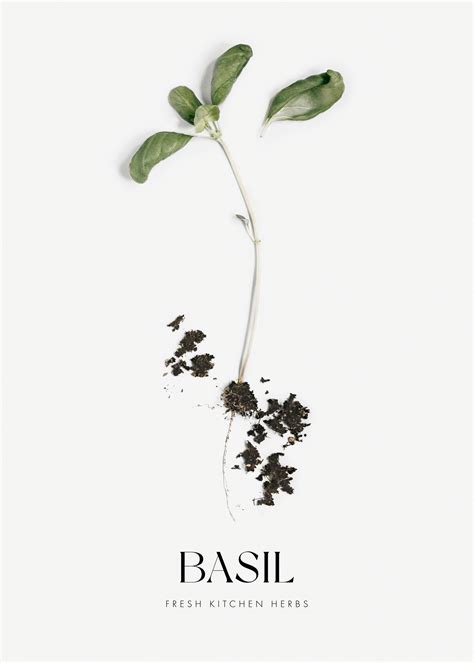 art basil restaurant 8