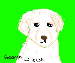 George Bush Paintings Dogs