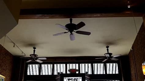 52 Hampton Bay Ansley Ceiling Fans In An Ice Cream Shop Youtube