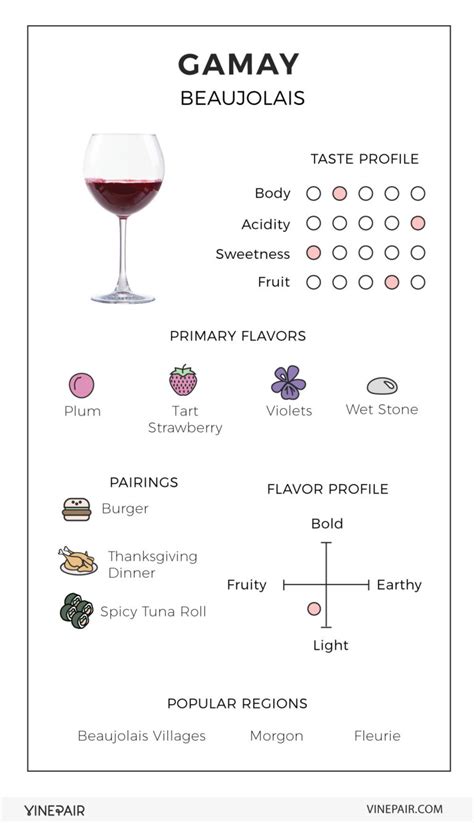 An Illustrated Guide to Gamay From Beaujolais | VinePair