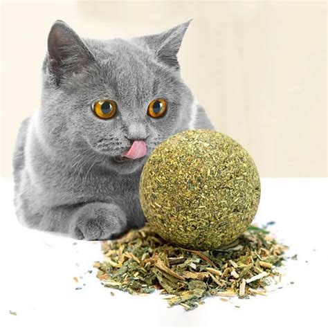 Natural Cat Catnip Treat Balls Cat Toys Menthol Flavor Kitten Treat