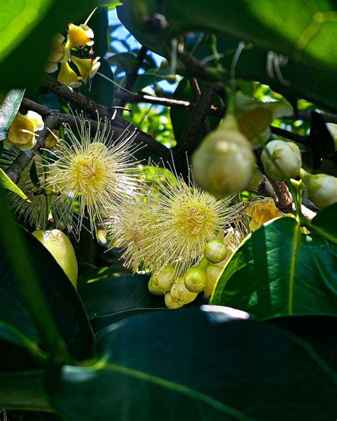 Miami-Dade Parks - We are eternally grateful for everyone working in