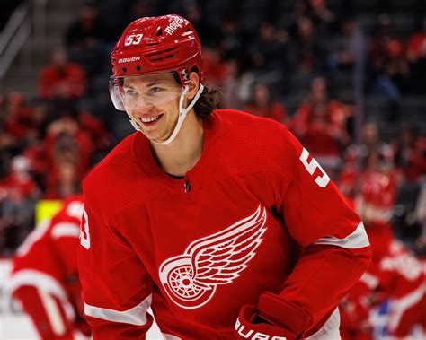 Hockey critics debate the team's path in the red wings standings 19