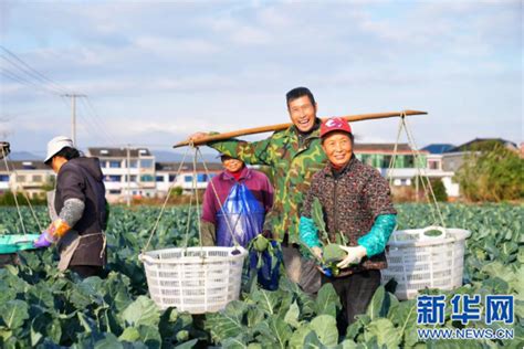 组图丨宁波鄞州咸祥：水旱轮作“一地双收” 新华网客户端