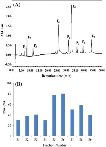 Reverse Phase High Performance Liquid Chromatography And Download Scientific Diagram