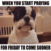 Funny Praying GIFs | Tenor