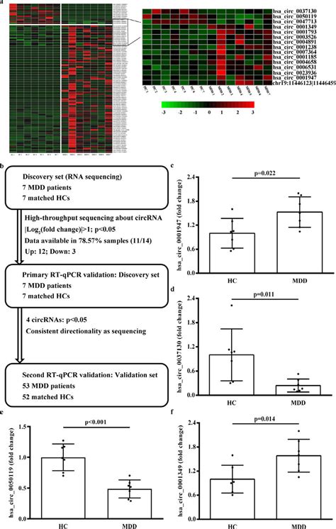 CircRNA Expression Profiles A Cluster Heat Map Showing 88