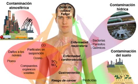 Calidad Del Aire Como Afecta La Contaminacion Del Aire A Nuestra Salud