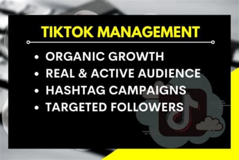 Grow Your Tik Tok Account Organically And Manually By Iqraexpert01 Fiverr