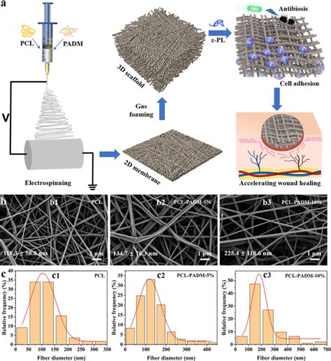 Electrospun Porcine Acellular Dermal Matrix And Polycaprolactone