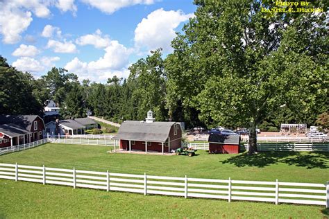 Flickriver: Dan Beards's photos tagged with miniaturehorsefarm