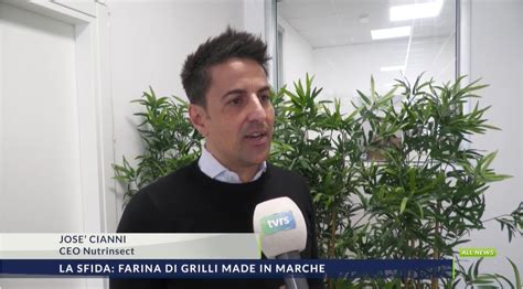 Farina Di Grillo Nelle Marche La Prima Azienda D Italia A Produrla