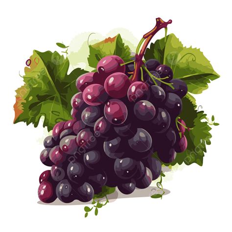 Uvas Clipart Racimo De Uvas Rojas Con Hojas Verdes Dibujos Animados Vector Png Uvas Clipart