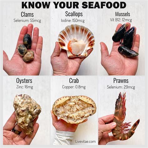 Know Your Seafood! | Nutrient, Healthy advice, Personalized nutrition