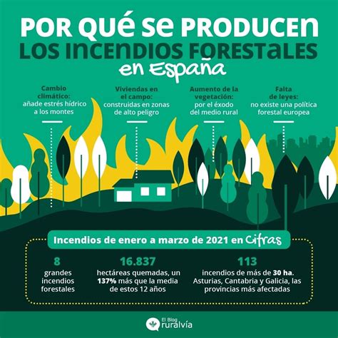 Los Incendios Forestales En Espa A Un Peligro Para La Naturaleza