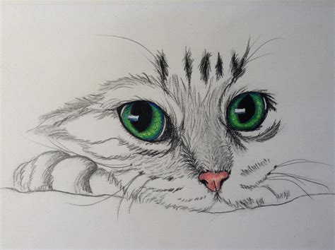 Katzen Cats Art Drawing Cat Sketch Drawings Pinterest