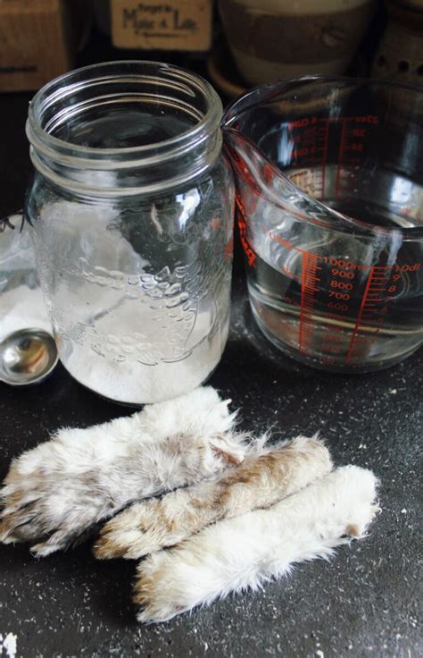 How To Preserve A Lucky Rabbits Foot • Bc Outdoors Magazine