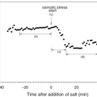 Effect Of The Addition Of Mm Nacl On Stomatal Conductance Measured