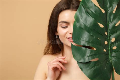 Abschluss Herauf Brunette Halb Nackte Frau S Mit Der Perfekten Haut Nackt Bilden Das