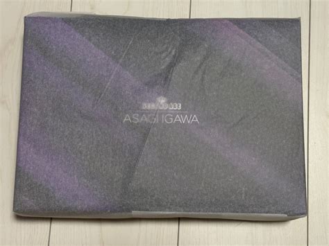 DS 代購 全新 日版 Second Axe Hentai Action 對魔忍 井河 淺蔥 阿莎姬 Asagi Igawa Lilith Store 対魔忍 興趣及遊戲 玩具