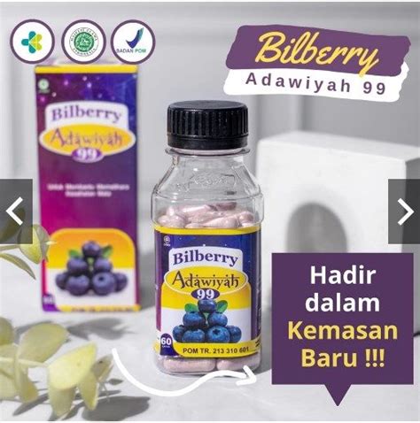 Bilberry 60 Kapsul Herbal Mata Minus Plus Glukoma Ekstrak Bilberry