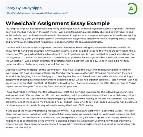 Wheelchair Assignment Essay Example StudyHippo