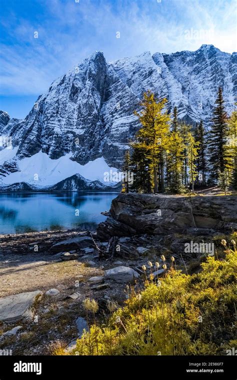 Floe Lake And Floe Peak At Floe Lake Campground With Lyalls Larch