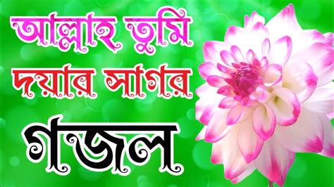 আল্লাহ তুমি দয়ার সাগর রাহমানুর রাহিম বাংলা গজল Islamic Bangla Gojol