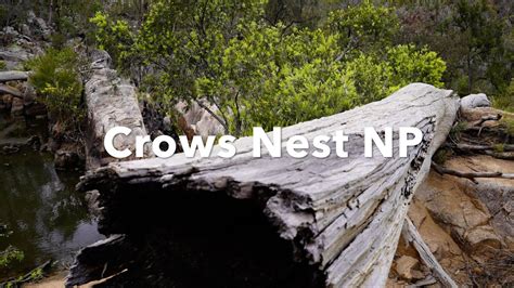 Crows Nest National Park Queensland Australia Youtube