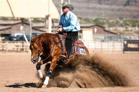 Bandalero Ranch the State-of-the-Art Reproduction and Training Facility | Reining