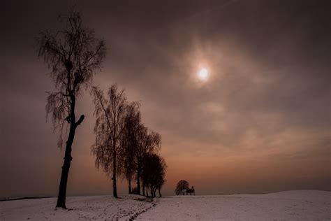 Fotos Gratis Paisaje Rbol Naturaleza Horizonte Rama Nieve Fr O