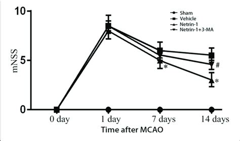 Neurological Function Assessed By Mnss The Scores Were Increased