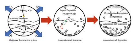 Ammonium Salt Formation Process In The Multiphase Flow System