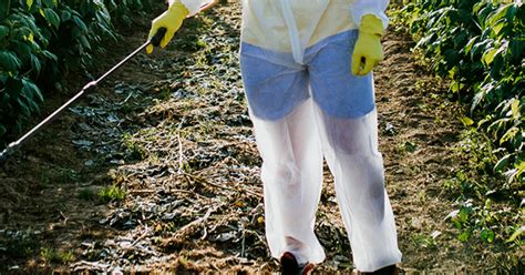 Cursos Aplicação de Defensivos Agrícolas Senar SC EAD