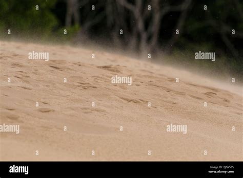 Sand Dunes at Silver Lake State Park, Michigan Stock Photo - Alamy