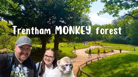 Trentham Monkey Forest Stoke On Trent Youtube