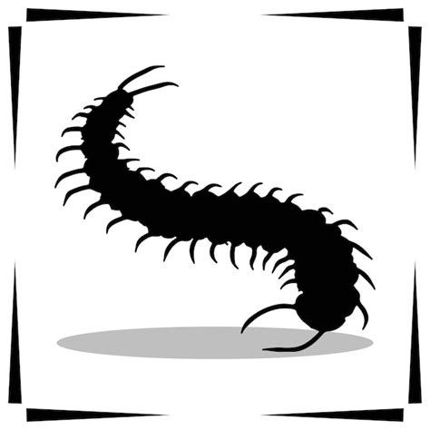 Premium Vector Centipede Silhouette Illustration Centipede Silhouette