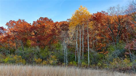 Northern Kettle Moraine state forest Autumnal by RAIN2RIVER66 on DeviantArt