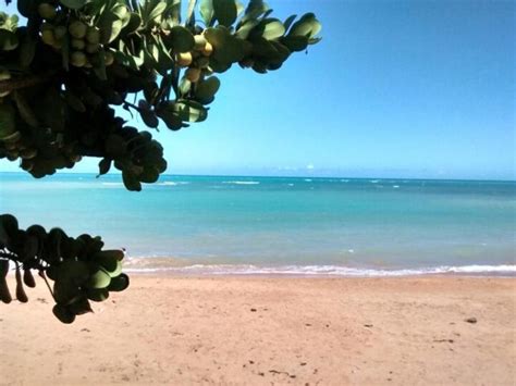 Barra Do Sahy Em Aracruz Se Destaca Como A Soberana Do Caribe