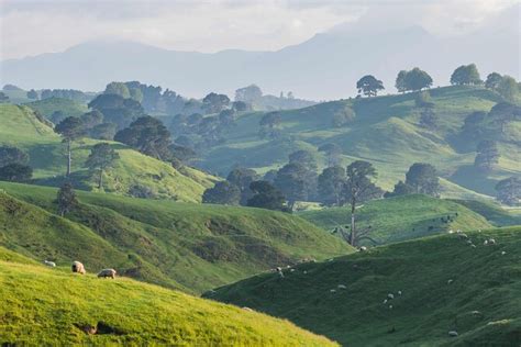 2024 Pequeno Tour Pelo Set De Filmagem De Hobbiton Saindo De Auckland